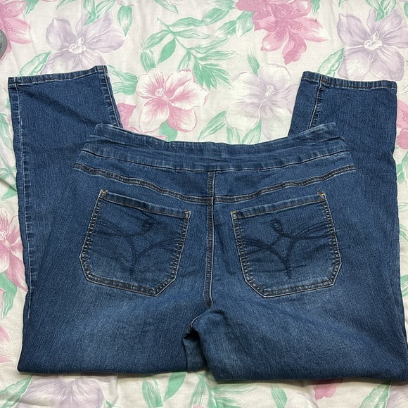 DC Jeans - Medium Colour Denim - Size 18P - Picture 4 of 4